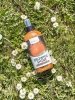 Odżywka brokatowa Brownie Shine 500 ml - HorseLine PRO